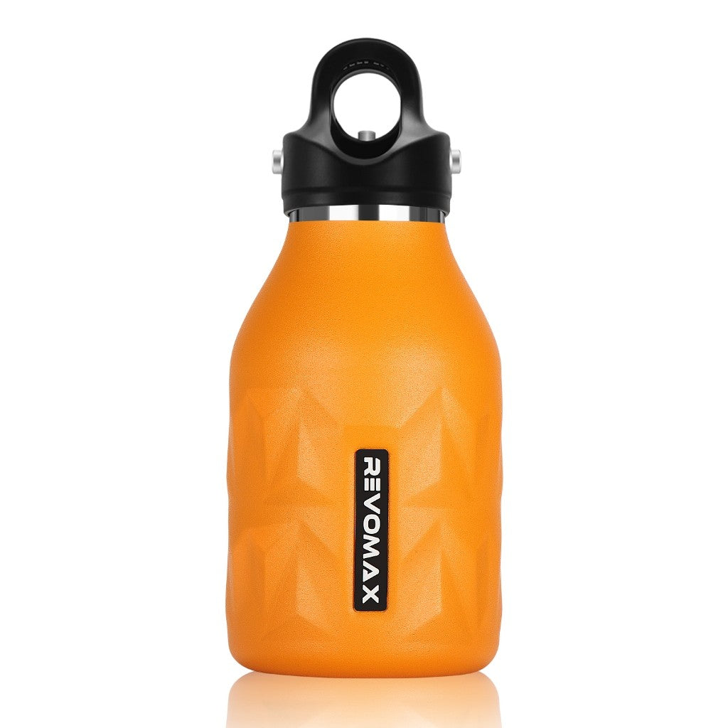 RevoMax Vacuum Insulated Thermal Water Bottle Flask - 473ml/16oz (City Walk Series)